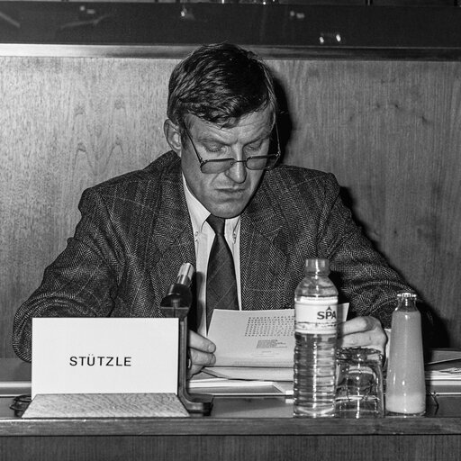 Fotografie 24: Hearing on disarmament at the European Parliament in Brussels