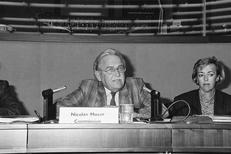 Photo 5: Meeting hosted by Nicolas MOSAR and Ludovina GARCIA ARIAS at the EP