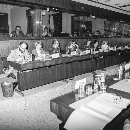 Foto 9: Committee on Women's Rights meeting at the European Parliament in Strasbourg