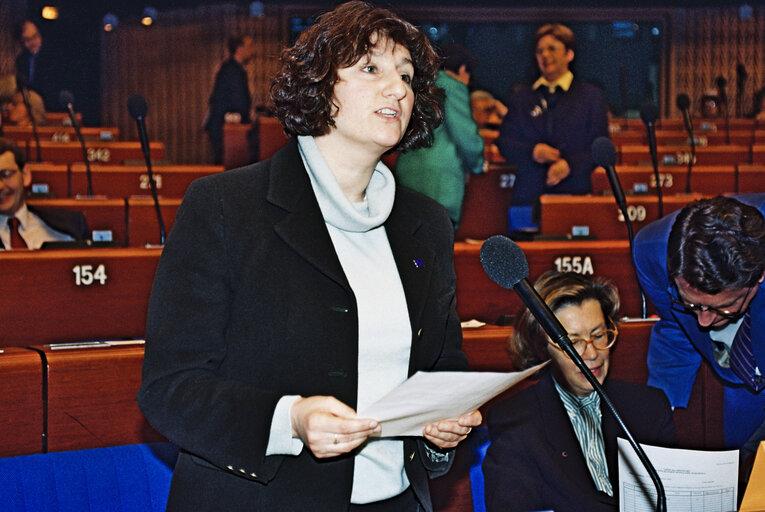 Photo 4: Plenary session in Strasbourg