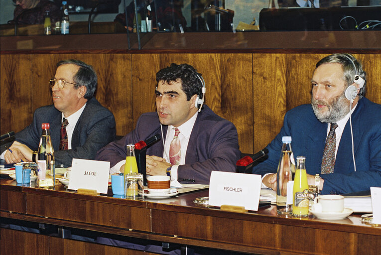 Fotografija 2: Hearing of Franz FISCHLER (Austria), Commissioner designate for Agriculture