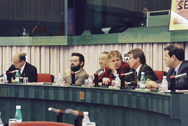 Meeting in support of the 1000th day of the Siege of Sarajevo at the European Parliament in Strasbourg