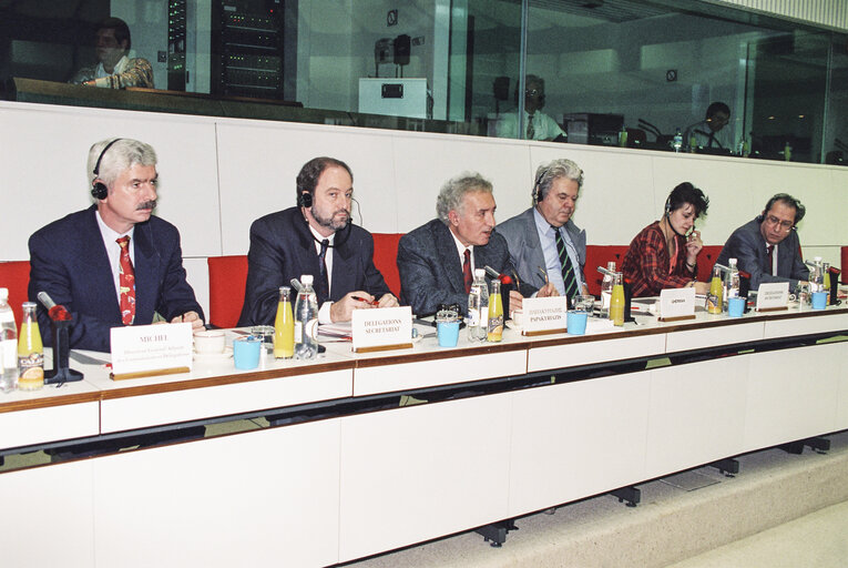 Meeting at the European Parliament in Brussels