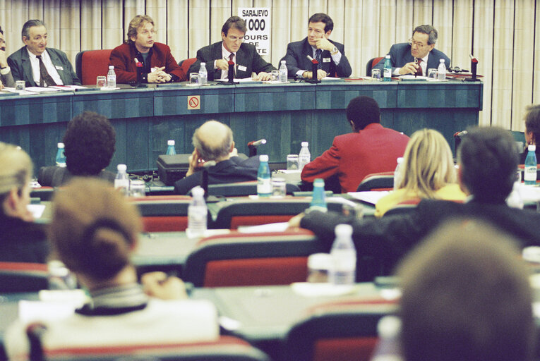 Meeting in support of the 1000th day of the Siege of Sarajevo at the European Parliament in Strasbourg