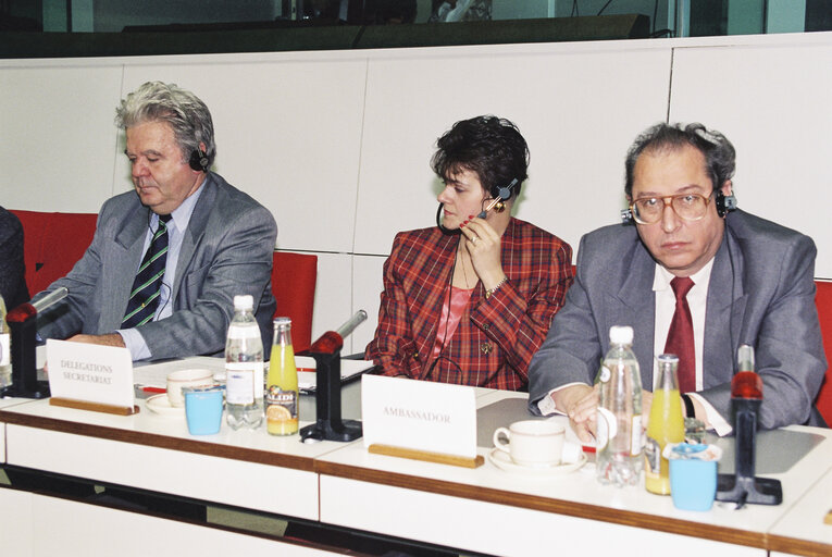 Fotografi 3: Meeting at the European Parliament in Brussels