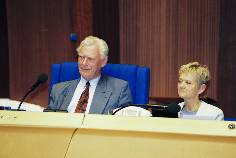 Plenary session in Strasbourg