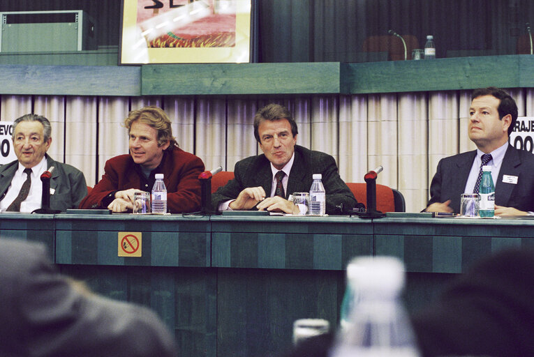 Meeting in support of the 1000th day of the Siege of Sarajevo at the European Parliament in Strasbourg