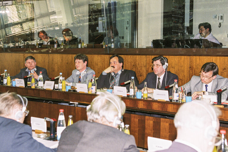 EU-Estonia Joint parliamentary meeting at the EP in Brussels