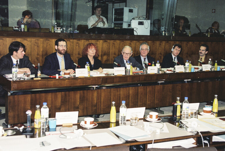 Meeting at the European Parliament in Strasbourg