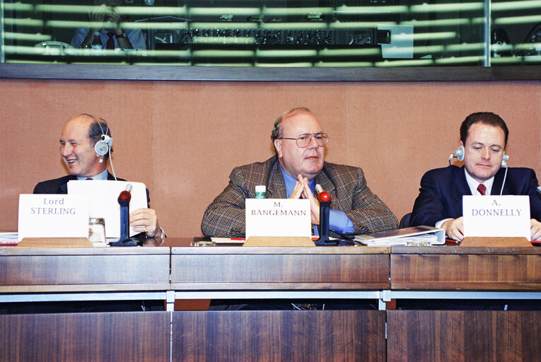 Fotografija 3: Meeting at the European Parliament in Strasbourg