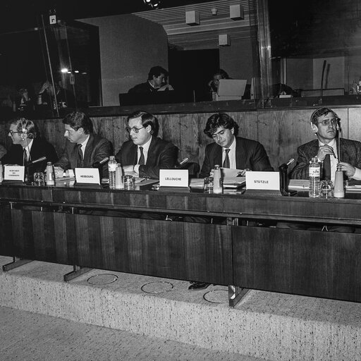 Fotografie 21: Hearing on disarmament at the European Parliament in Brussels