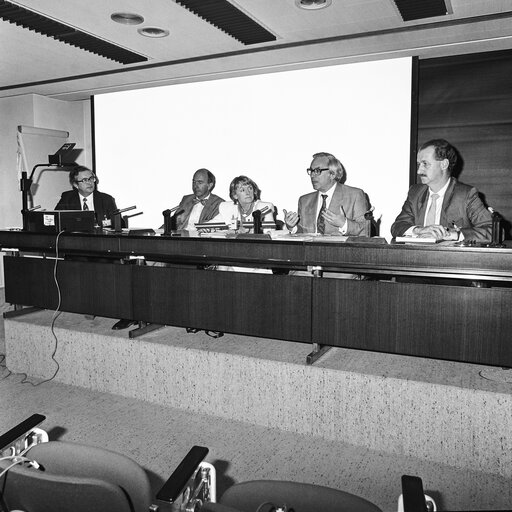 Foto 1: Eileen LEMASS chairs a meeting about TV satellites at the European Parliament