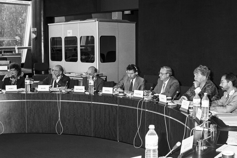 Fotografi 4: Meeting at the European Parliament