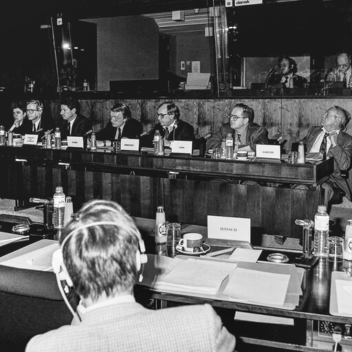 Fotografie 23: Hearing on disarmament at the European Parliament in Brussels