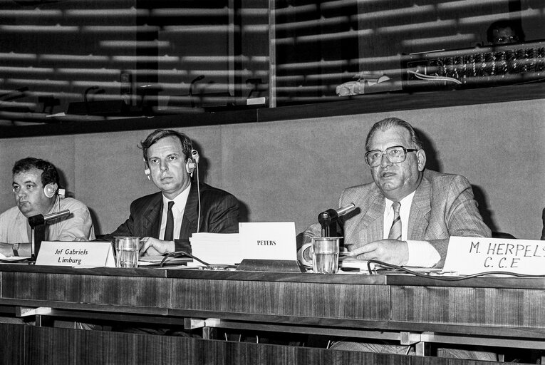 Meeting at the European Parliament with MEP Hans Johannes Wilhelm PETERS