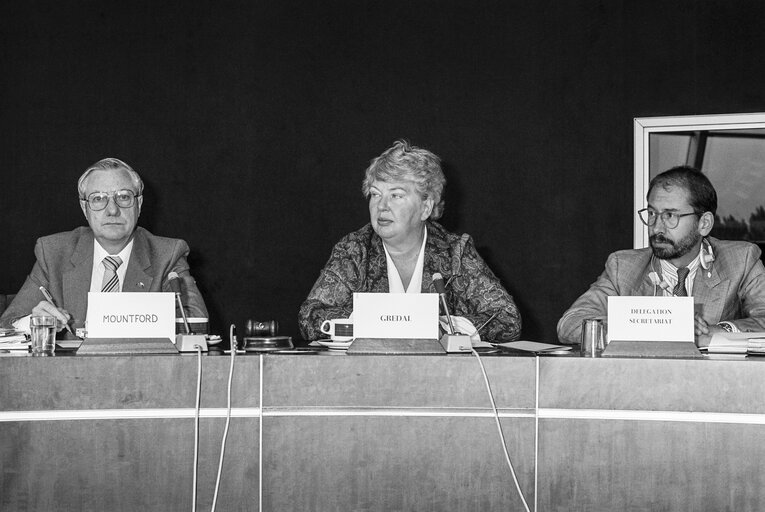 Meeting at the European Parliament