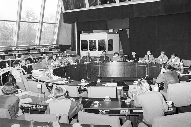 Foto 2: Meeting at the European Parliament in Strasbourg in November 1986.