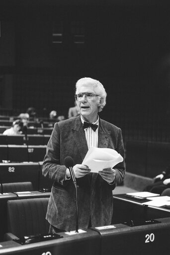 Plenary session in Strasbourg