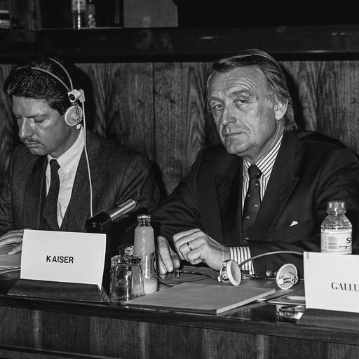 Fotografie 17: Hearing on disarmament at the European Parliament in Brussels