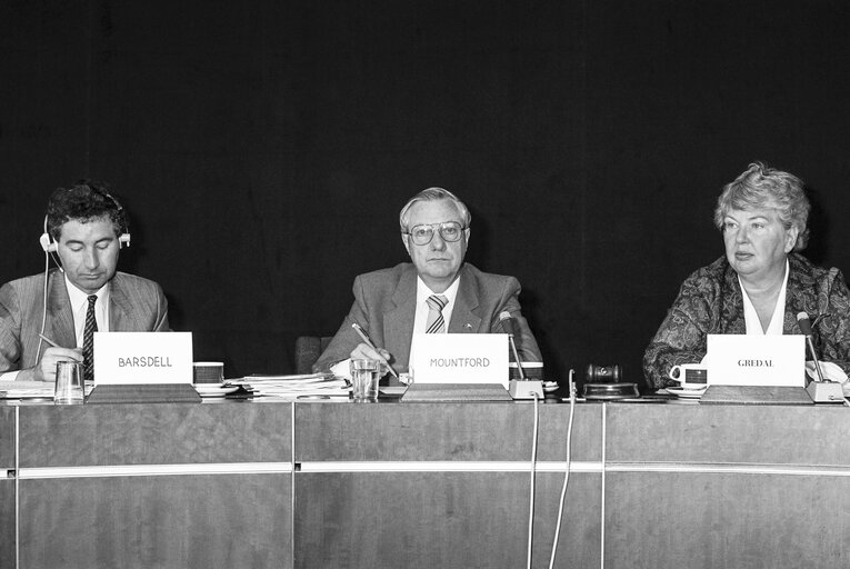 Fotografi 2: Meeting at the European Parliament