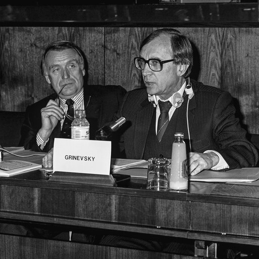 Fotografie 16: Hearing on disarmament at the European Parliament in Brussels