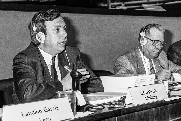 Fotografia 5: Meeting at the European Parliament with MEP Hans Johannes Wilhelm PETERS