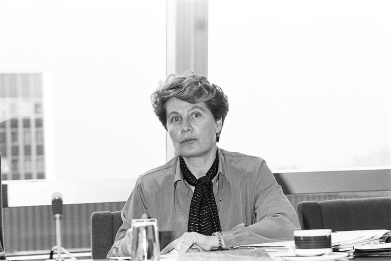 Meeting at the European Parliament in Strasbourg in November 1986