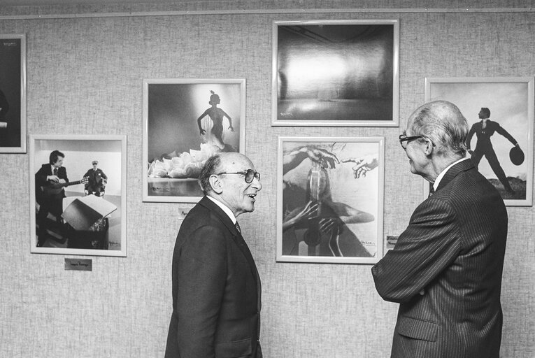 Exhibition 'Les grands de l'Espagne - Espanoles universales' at the European Parliament