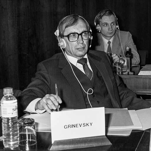 Fotografie 2: Hearing on disarmament at the European Parliament in Brussels