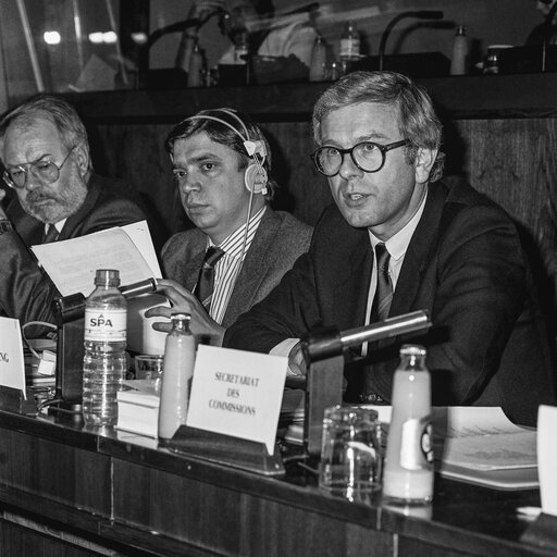 Fotografie 13: Hearing on disarmament at the European Parliament in Brussels