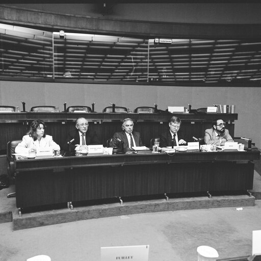 Foto 3: Meeting of the socialist group with the leader of the social democratic party of El Salvador in December 1988