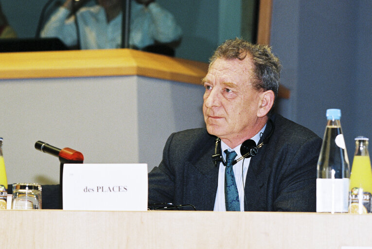 Committee on Institutional Affairs - Public hearing - 1996 Intergovernmental Conference - The European Parliament : A Sounding Board for Europe's Citizens