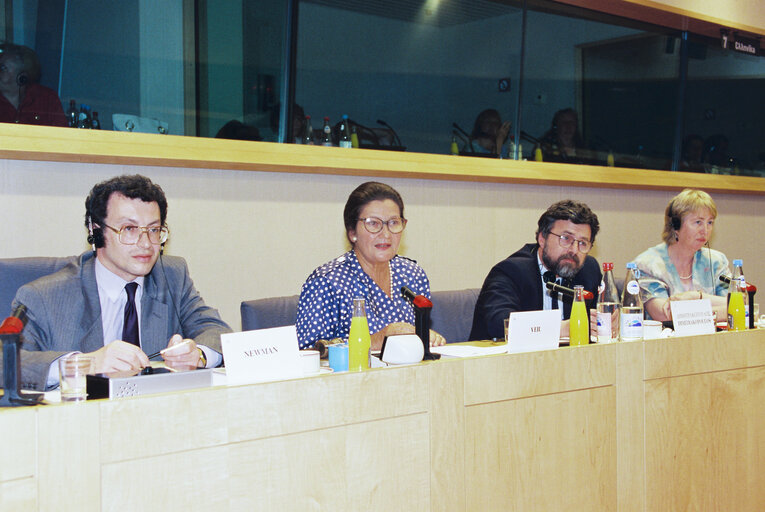 Foto 25: Meeting of the Committee on Petitions