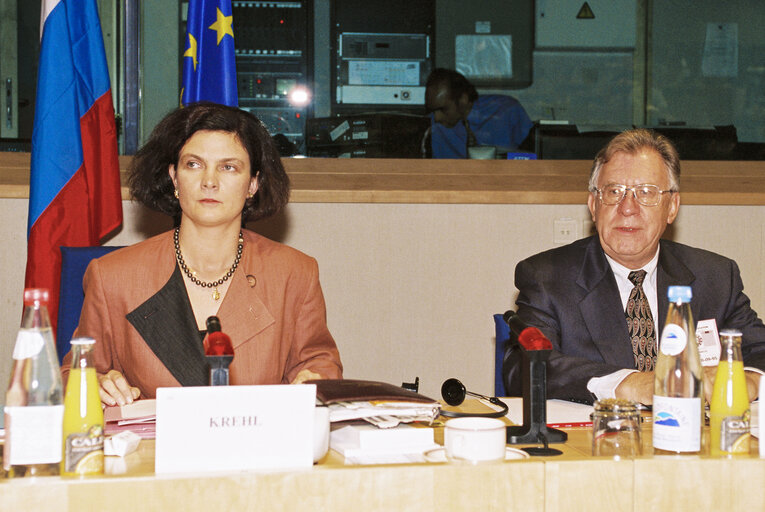 Valokuva 2: EU-Russia Meeting in the European Parliament