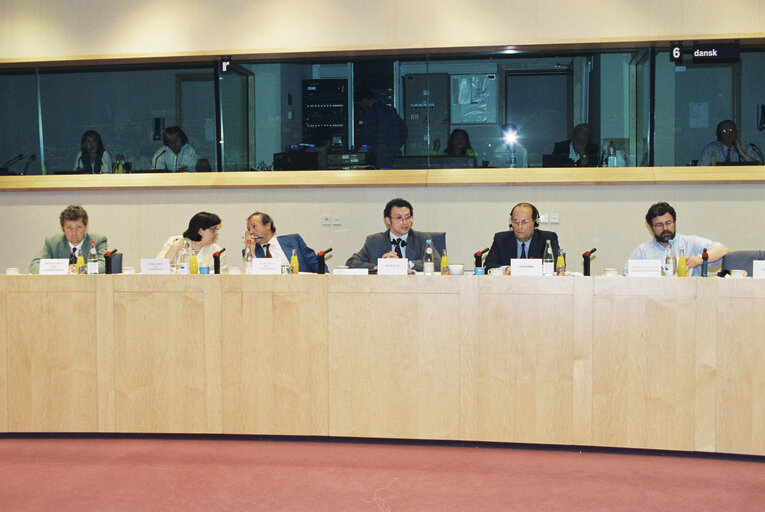 Fotografie 6: Meeting of the Committee on Petitions with the European Ombudsman