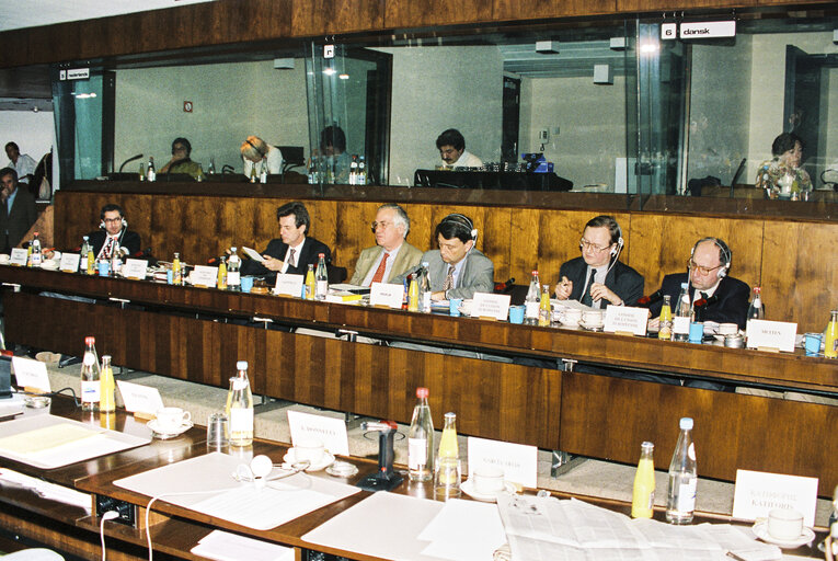 Foto 14: Meeting of the Committee on Economic and Monetary Affairs and Industrial Policy