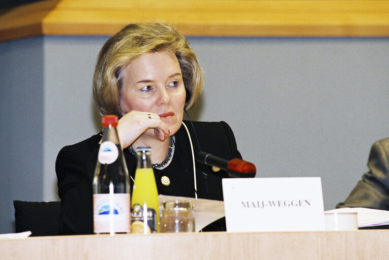 Fotografija 18: Committee on Institutional Affairs - Public hearing - 1996 Intergovernmental Conference - The European Parliament : A Sounding Board for Europe's Citizens