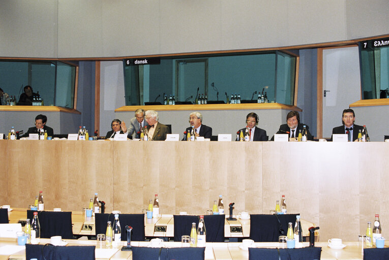 Fotografie 3: Meeting of the Committee on External Relations