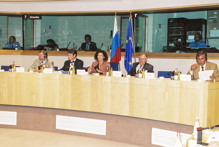 EU-Russia Meeting in the European Parliament