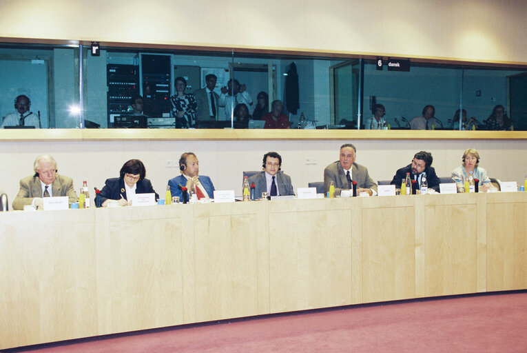 Fotografie 28: Meeting of the Committee on Petitions