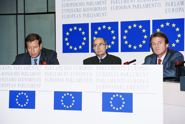 Zdjęcie 2: Press conference in Strasbourg