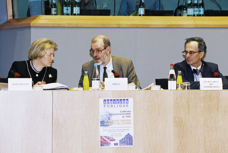 Fotografija 17: Committee on Institutional Affairs - Public hearing - 1996 Intergovernmental Conference - The European Parliament : A Sounding Board for Europe's Citizens