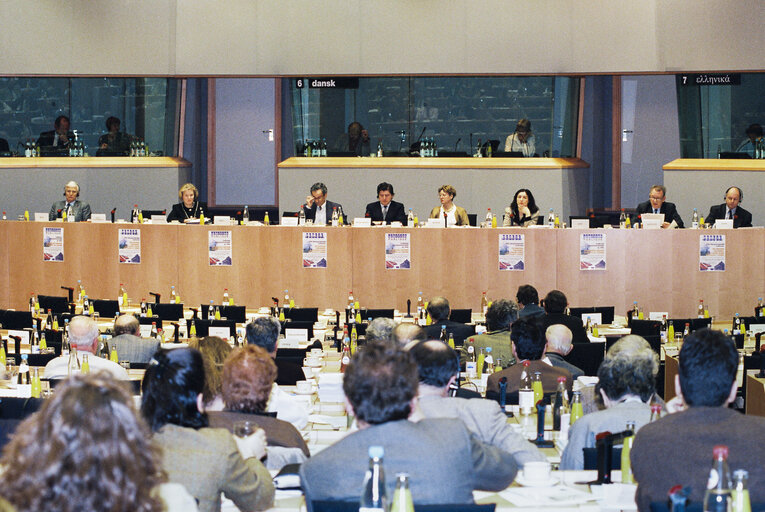 Committee on Institutional Affairs - Public hearing - 1996 Intergovernmental Conference - The European Parliament : A Sounding Board for Europe's Citizens