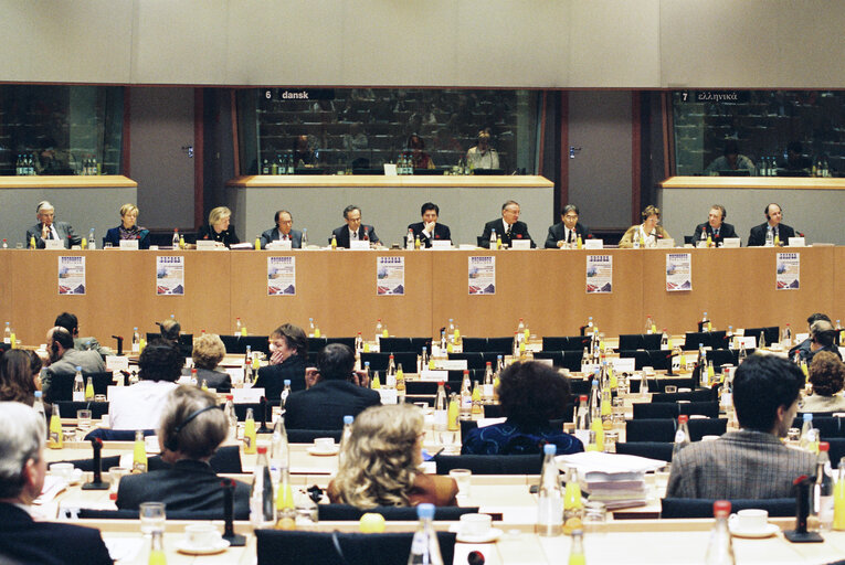 Committee on Institutional Affairs - Public hearing - 1996 Intergovernmental Conference - The European Parliament : A Sounding Board for Europe's Citizens