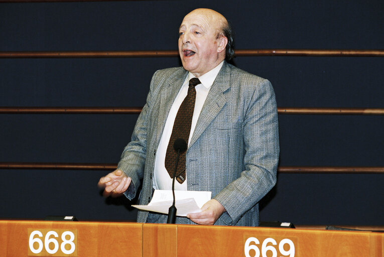 Plenary session in Brussels