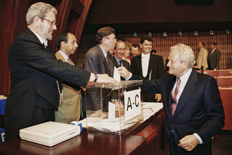 Foto 18: Election of European Ombudsman