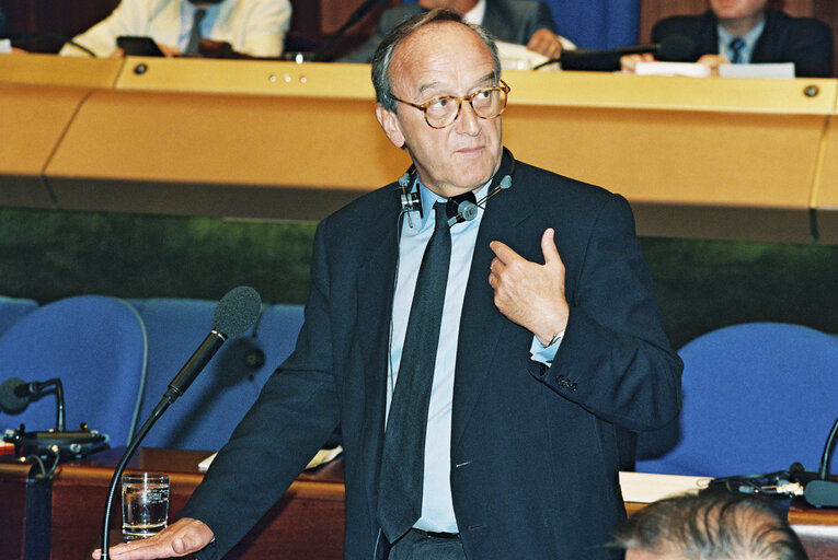 Billede 3: Plenary session in Strasbourg.Spanish Presidency of the EU