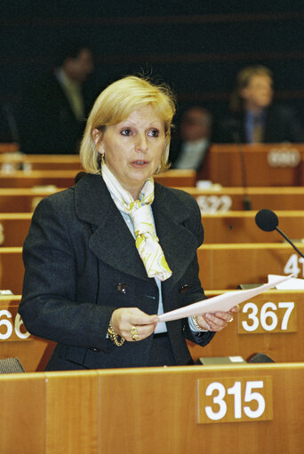 Plenary session in Brussels