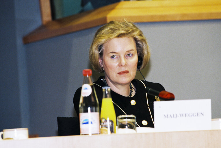 Fotografija 13: Committee on Institutional Affairs - Public hearing - 1996 Intergovernmental Conference - The European Parliament : A Sounding Board for Europe's Citizens