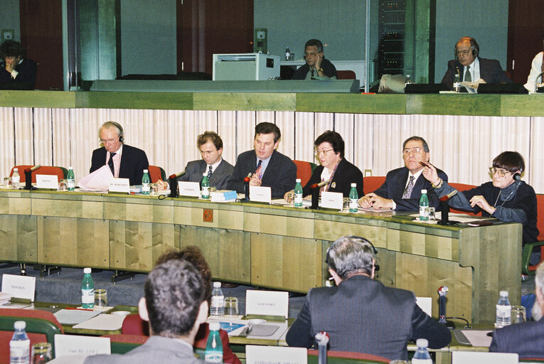 Zdjęcie 6: EP-Israel Joint Parliamentary Committee meeting in Strasbourg